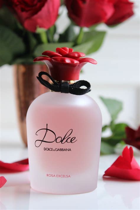 dolce gabbana dolce rosa perfume|dolce and gabbana the rose.